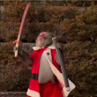 Обезъяна с самурайским мечом